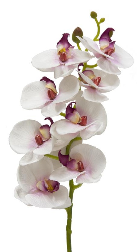Orquídea artificial de material "Real Touch"
