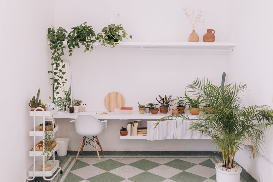 espacio de trabajo decorado con plantas