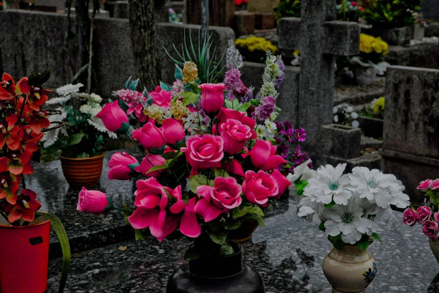 Diferentes flores que se encuentran puestas en el cementerio